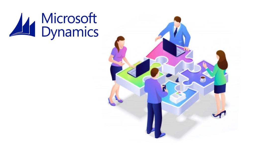 microsoft dynamics 365 expert