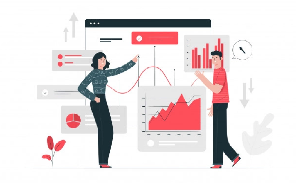 Data Analytics Service provider