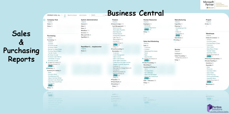Business Central Sales and Purchasing Report