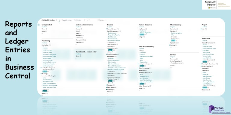 Business Central Reports and Ledger Entries