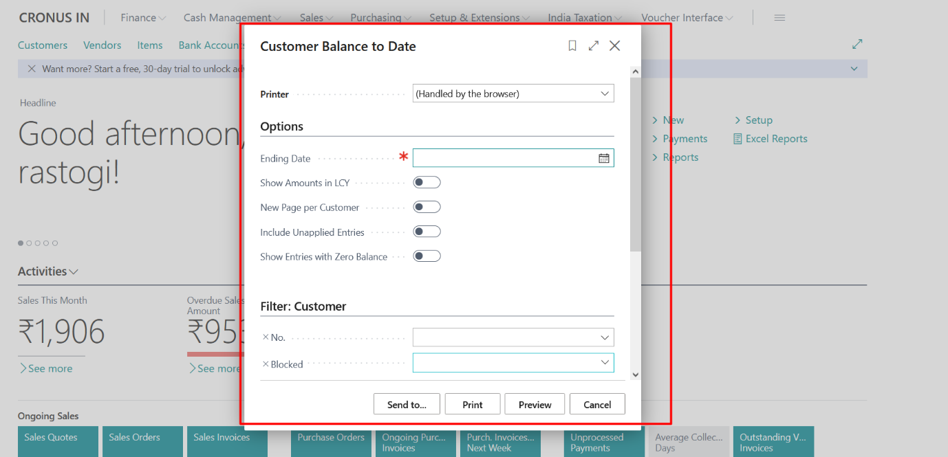 Business Central Purchase & Sales Reports