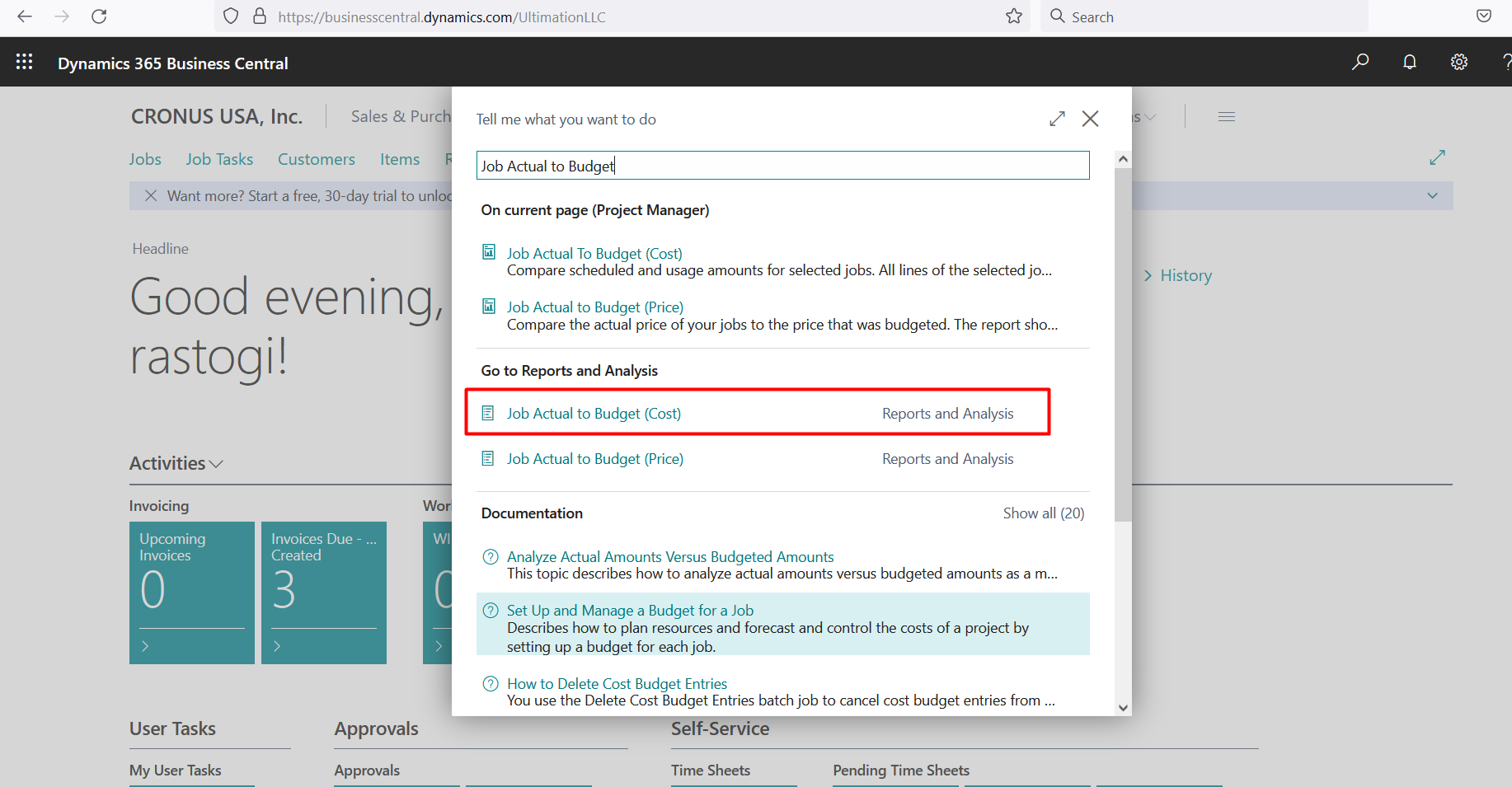 Business Central Reports and Ledger Entries