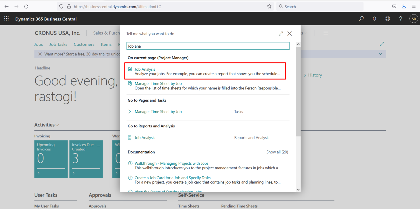 Business Central Reports and Ledger Entries