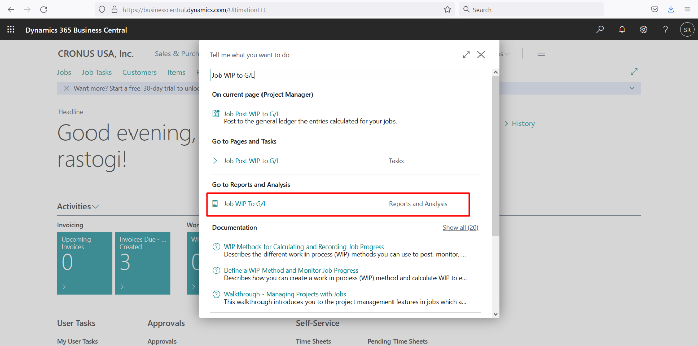 Business Central Reports and Ledger Entries