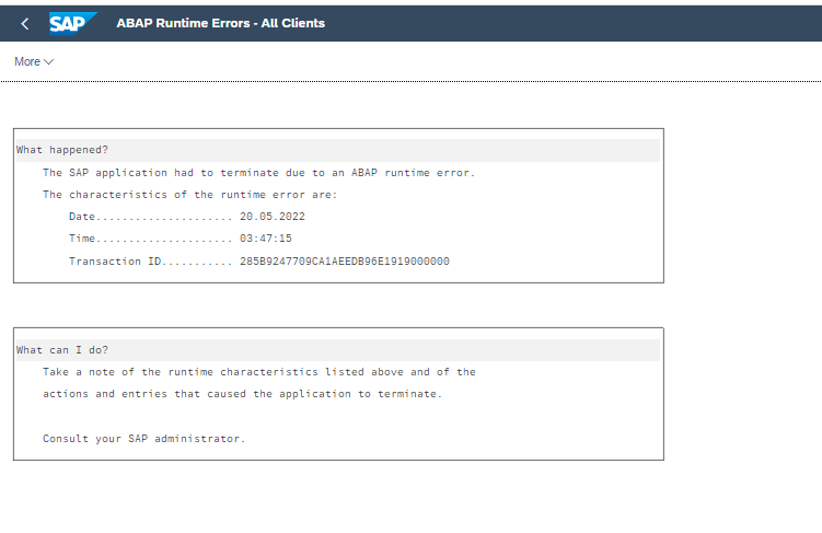 S/4 Hana Display Material Serial Number App shows Dump