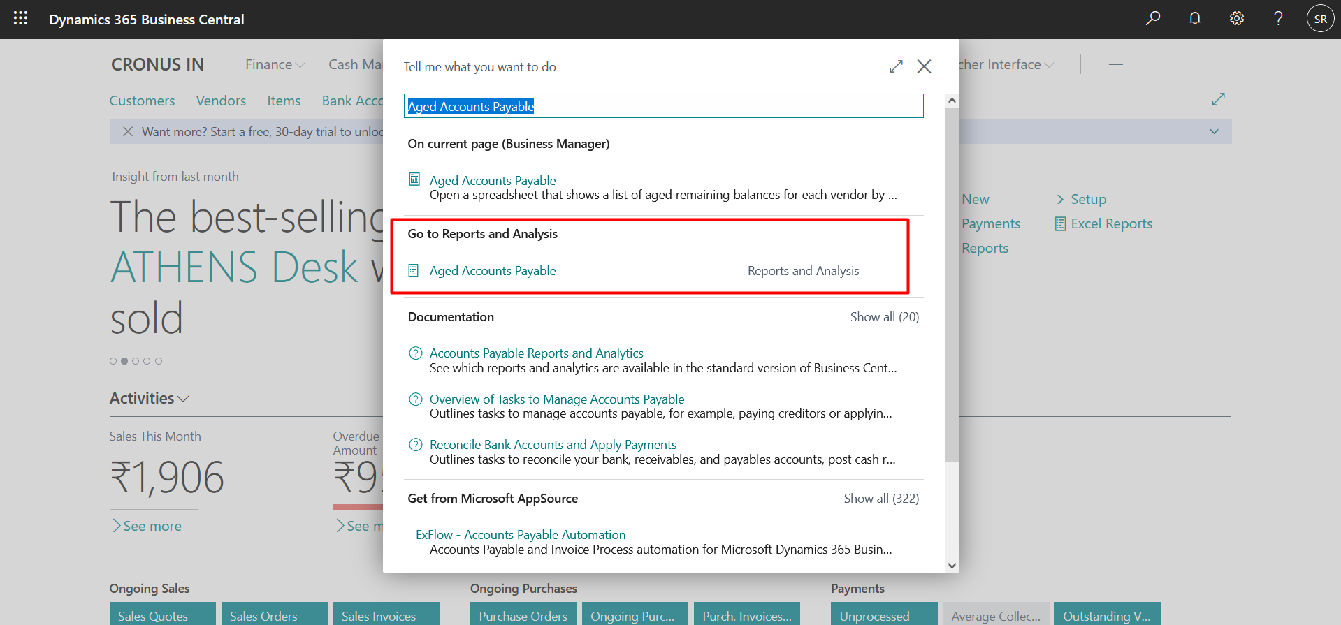 Business Central Purchase & Sales Reports