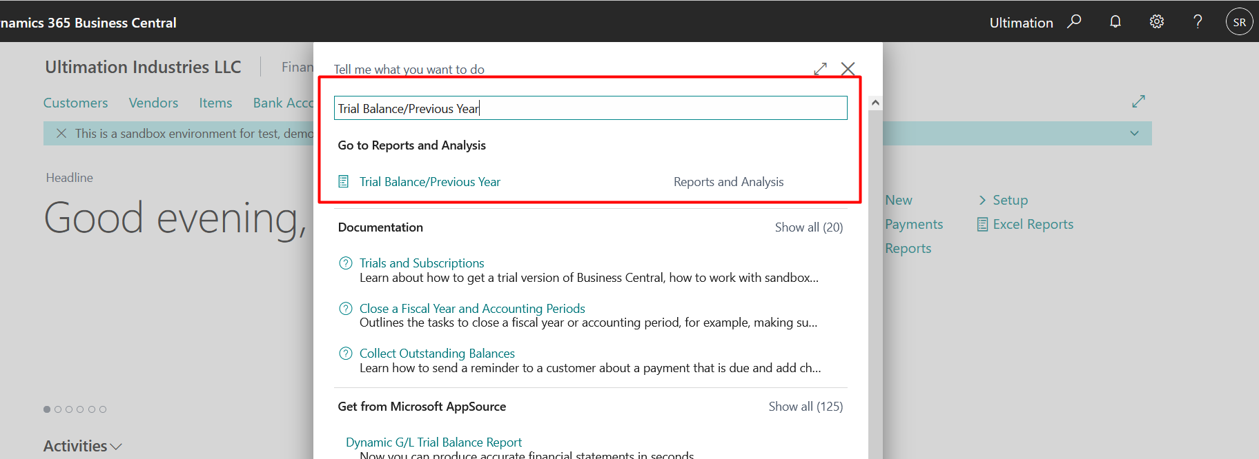 Business Central Reports and Ledger Entries