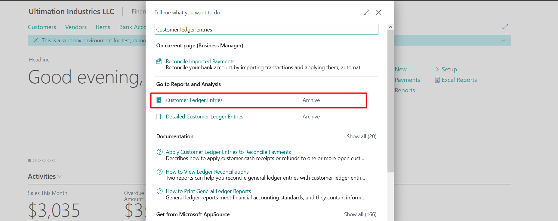 Business Central Reports and Ledger Entries