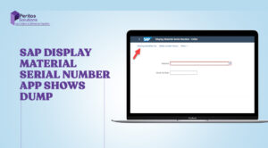 S/4 Hana Display Material Serial Number App shows Dump