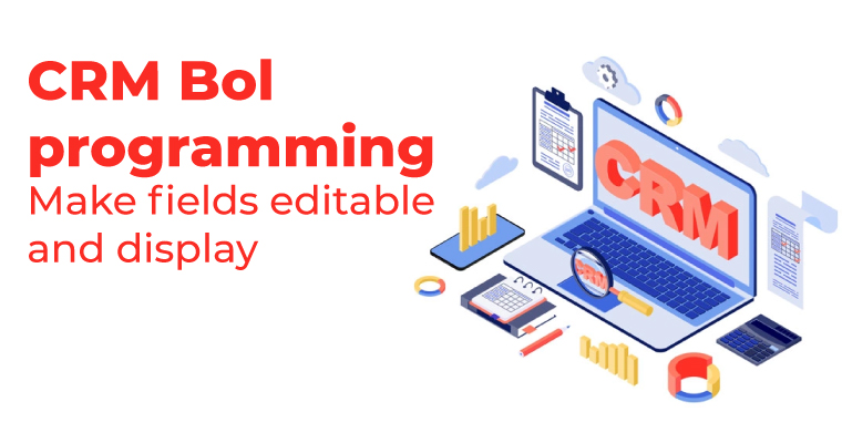 CRM Bol programmings Make fields editable and display only