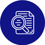 WordPress Custom Plugin